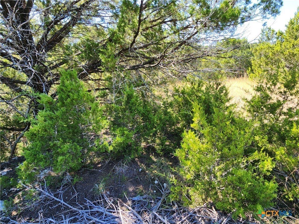 7.51 acres in Burnet County - photo 21