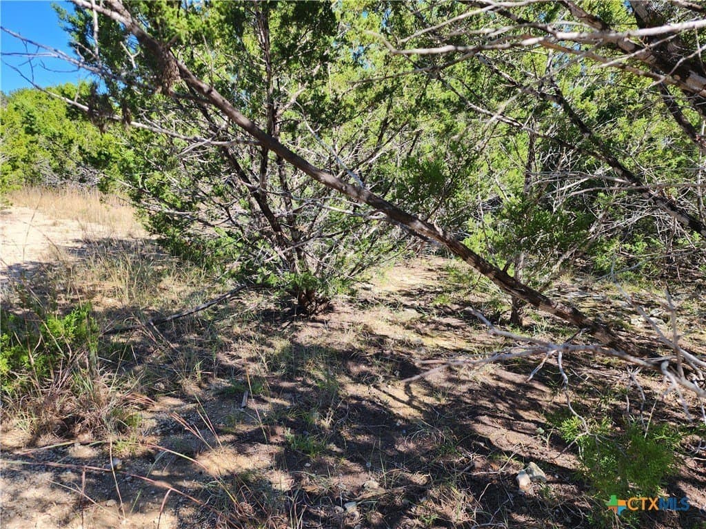 7.51 acres in Burnet County - photo 22