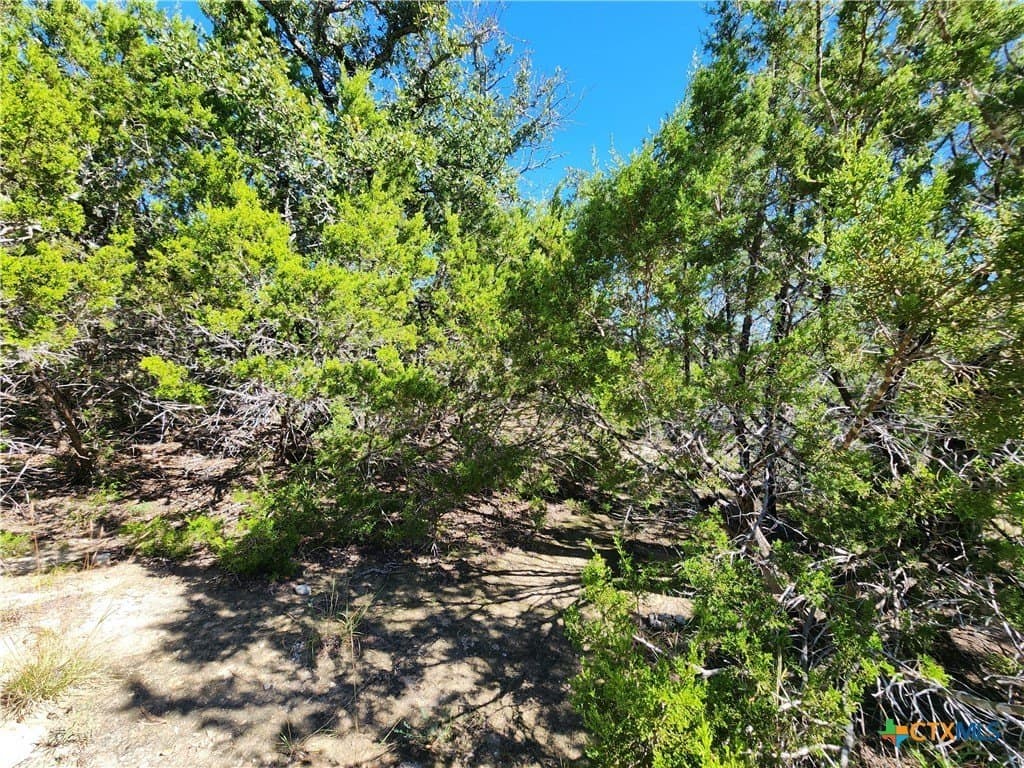 7.51 acres in Burnet County - photo 10
