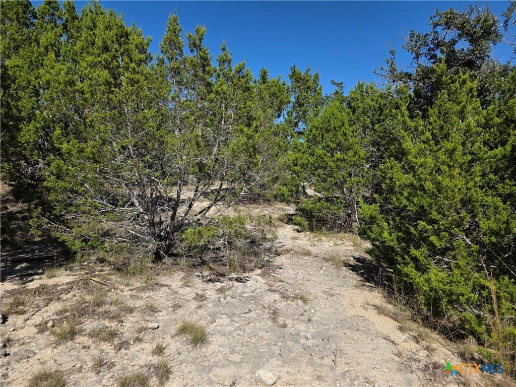 7.51 acres in Burnet County - photo 7