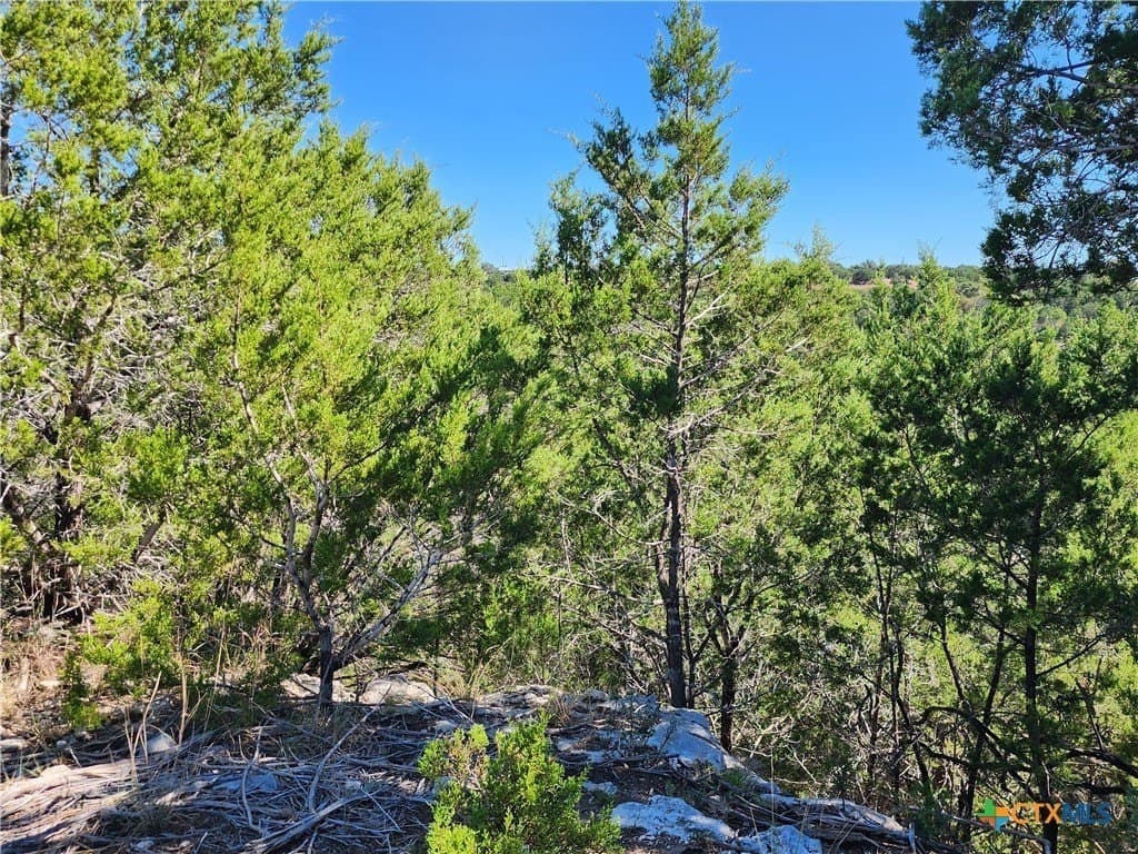 7.51 acres in Burnet County - photo 20