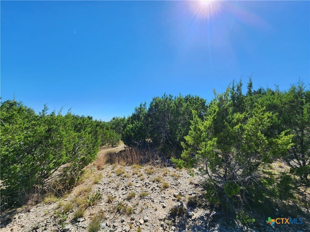 7.51 acres in Burnet County - photo 6