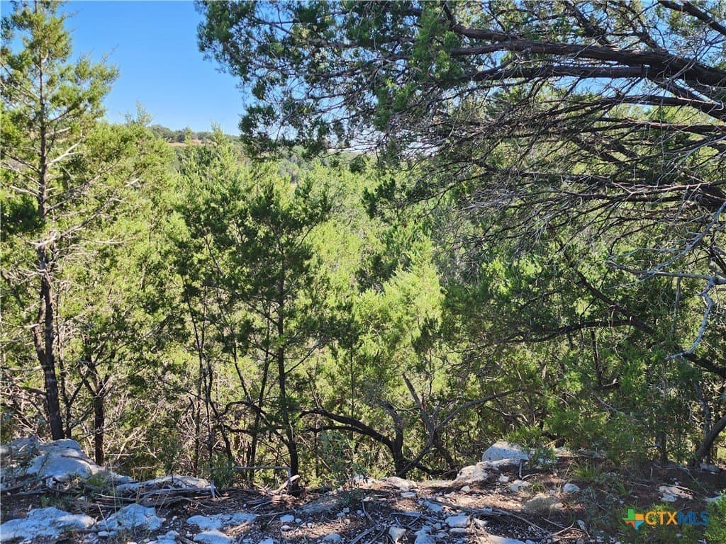 7.51 acres in Burnet County - photo 19