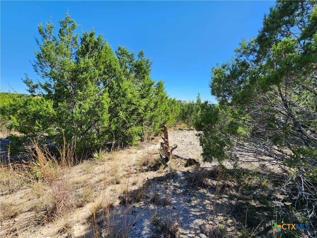 7.51 acres in Burnet County - photo 13