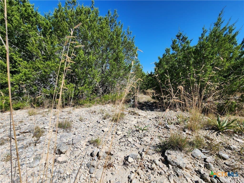 7.51 acres in Burnet County - photo 8