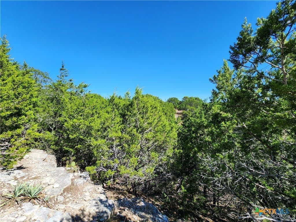 7.51 acres in Burnet County - photo 17