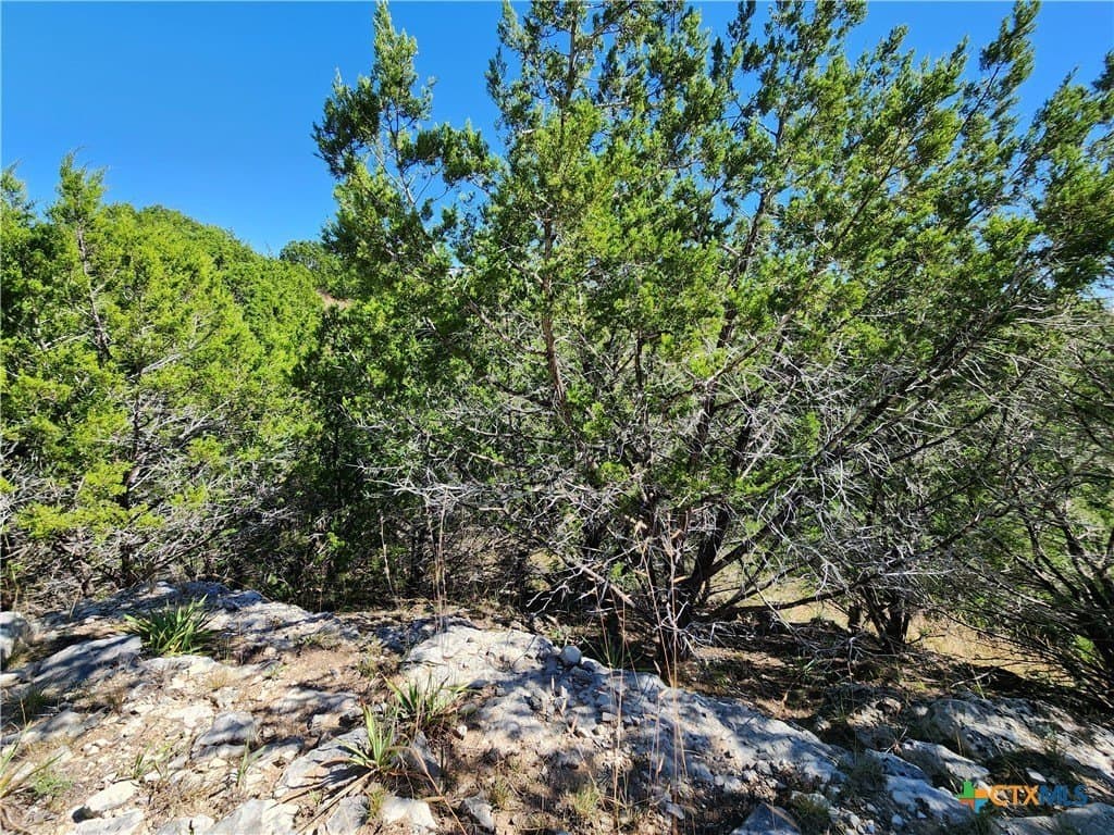7.51 acres in Burnet County - photo 15
