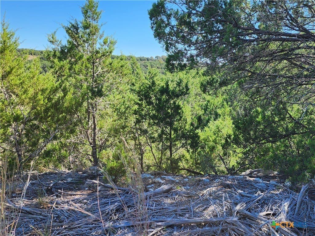 7.51 acres in Burnet County - photo 14