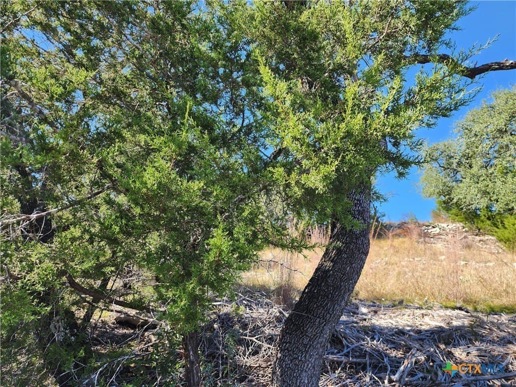 7.51 acres in Burnet County - photo 23