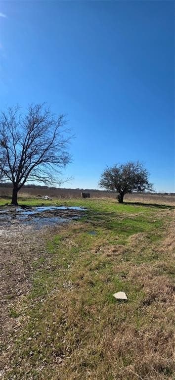 5.2 acres in Navarro County - photo 4