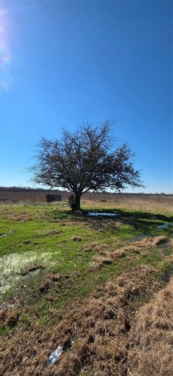 5.2 acres in Navarro County - photo 7