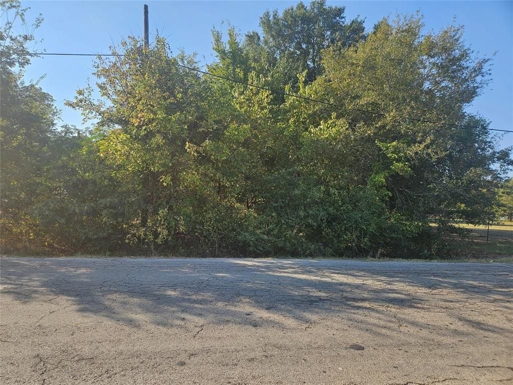 0.14 acres in Lamar County - photo 3