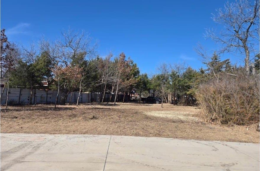 0.32 acres in Dallas County - photo 8