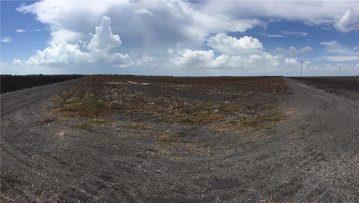 63.8 acres in San Patricio County - photo 22