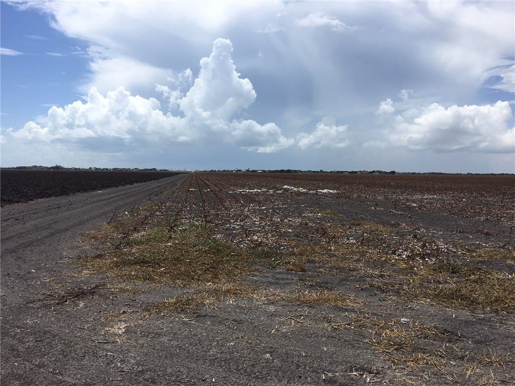 63.8 acres in San Patricio County - photo 21