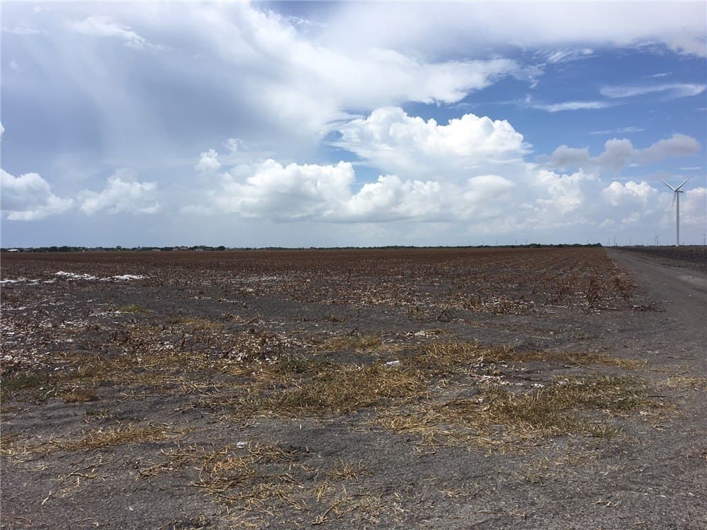 63.8 acres in San Patricio County - photo 20