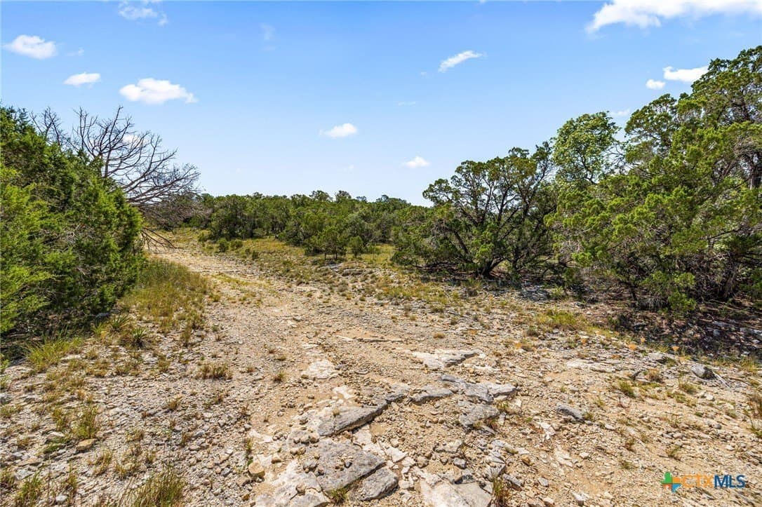 3.75 acres in Travis County - photo 5