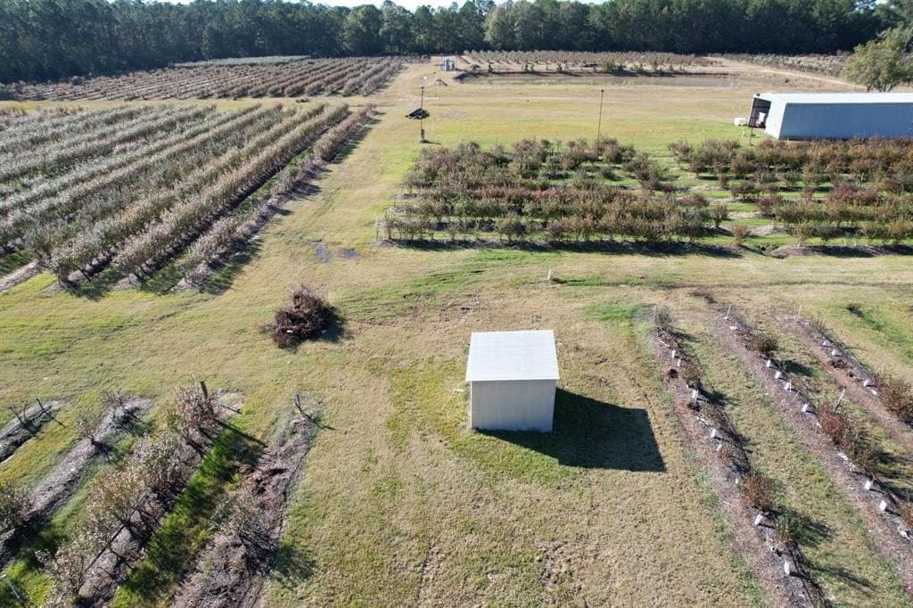 31.84 acres in Hardin County - photo 27