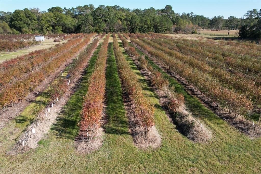 31.84 acres in Hardin County - photo 24