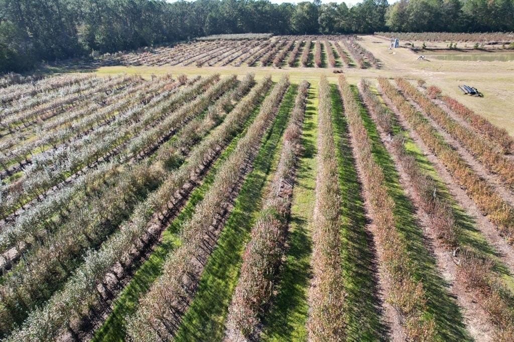 31.84 acres in Hardin County - photo 26