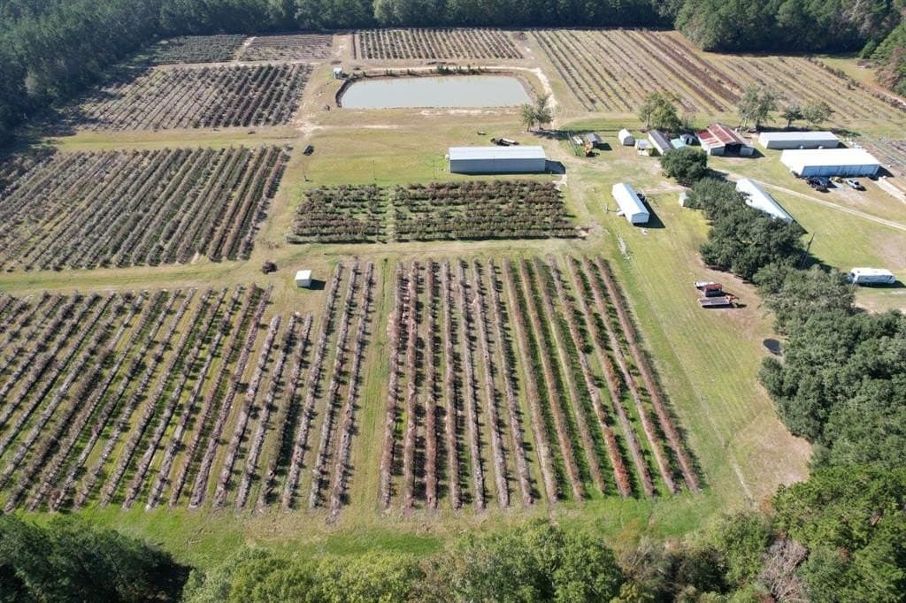 31.84 acres in Hardin County - photo 6