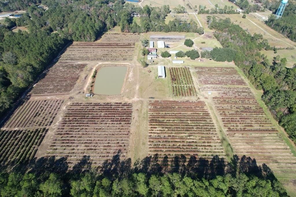 31.84 acres in Hardin County - photo 7