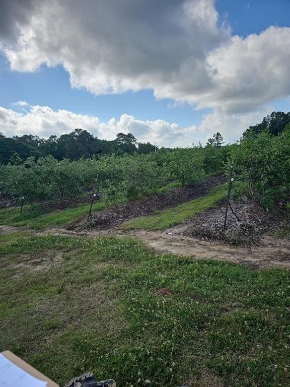 31.84 acres in Hardin County - photo 36