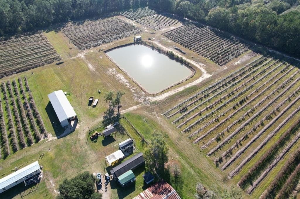31.84 acres in Hardin County - photo 4