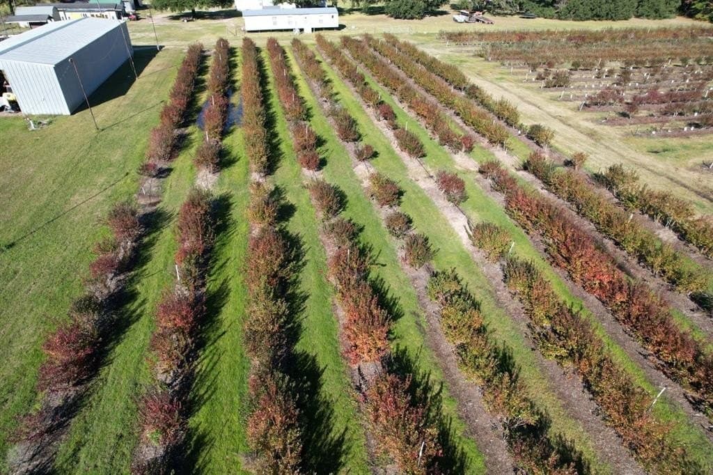 31.84 acres in Hardin County - photo 25