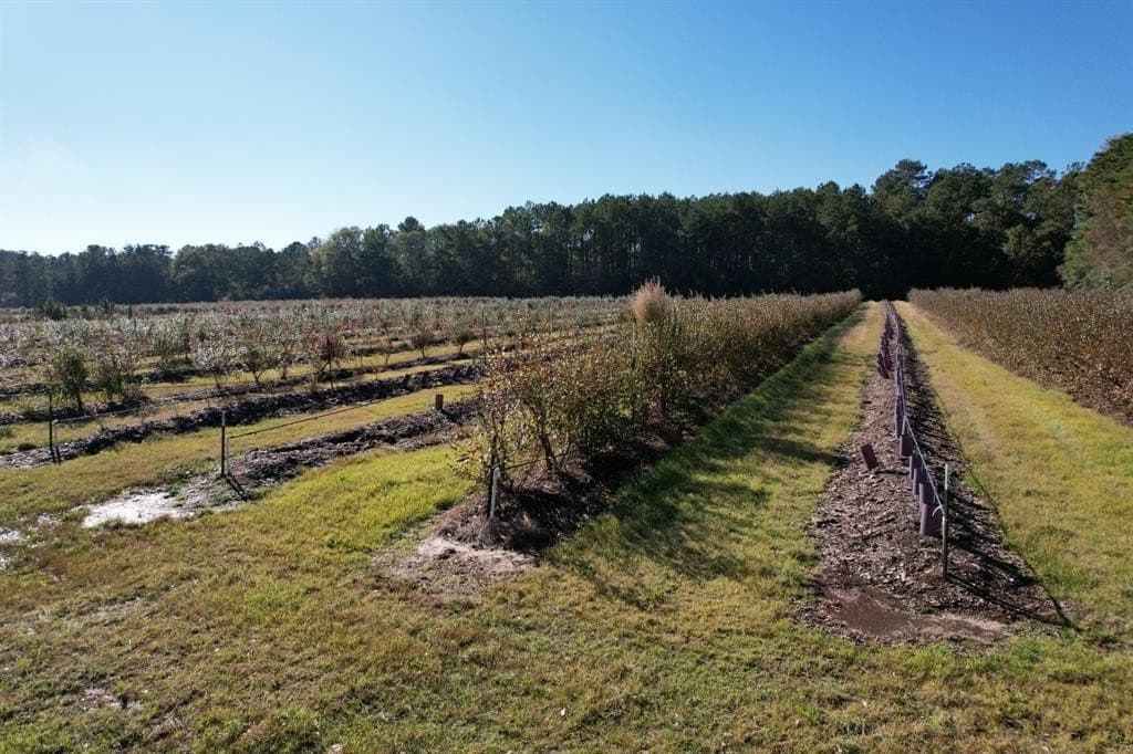 31.84 acres in Hardin County - photo 22