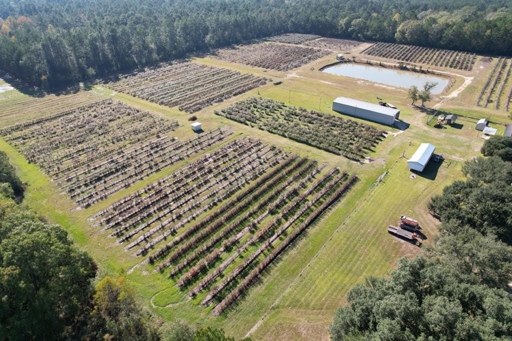 31.84 acres in Hardin County - photo 5