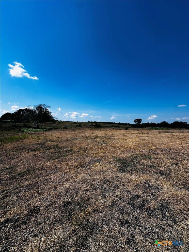 14 acres in DeWitt County - photo 10