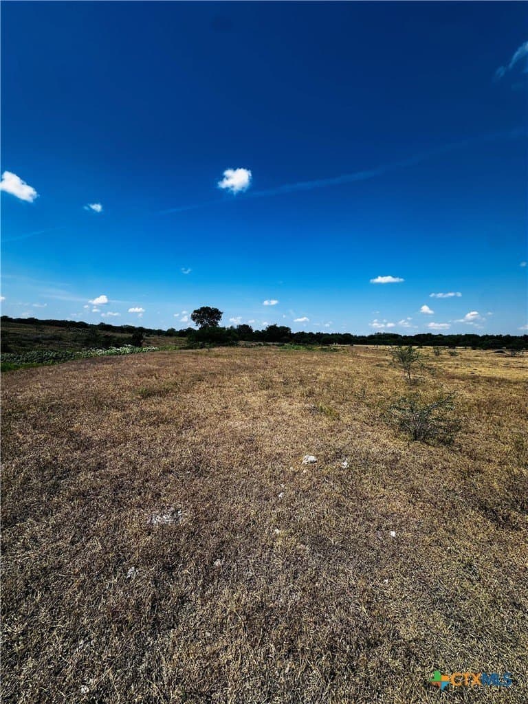 14 acres in DeWitt County - photo 9