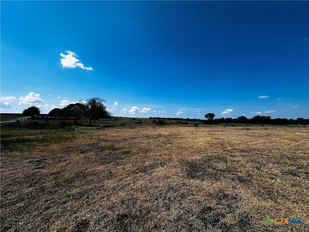 14 acres in DeWitt County - photo 8