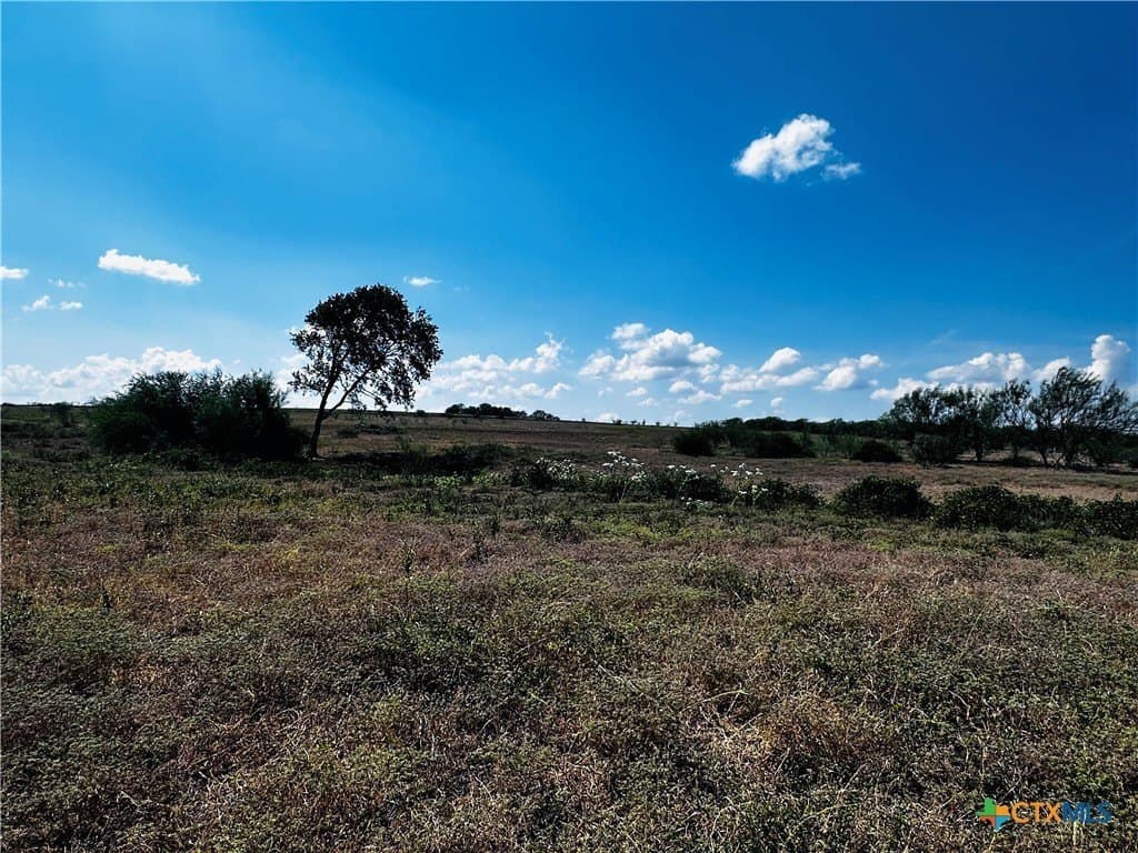14 acres in DeWitt County - photo 3