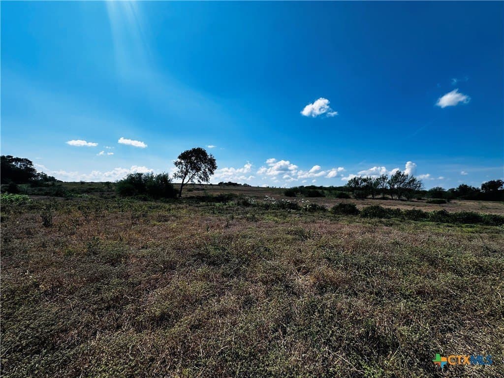 14 acres in DeWitt County - photo 4