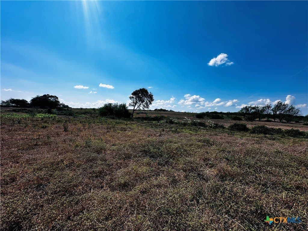 14 acres in DeWitt County - photo 5