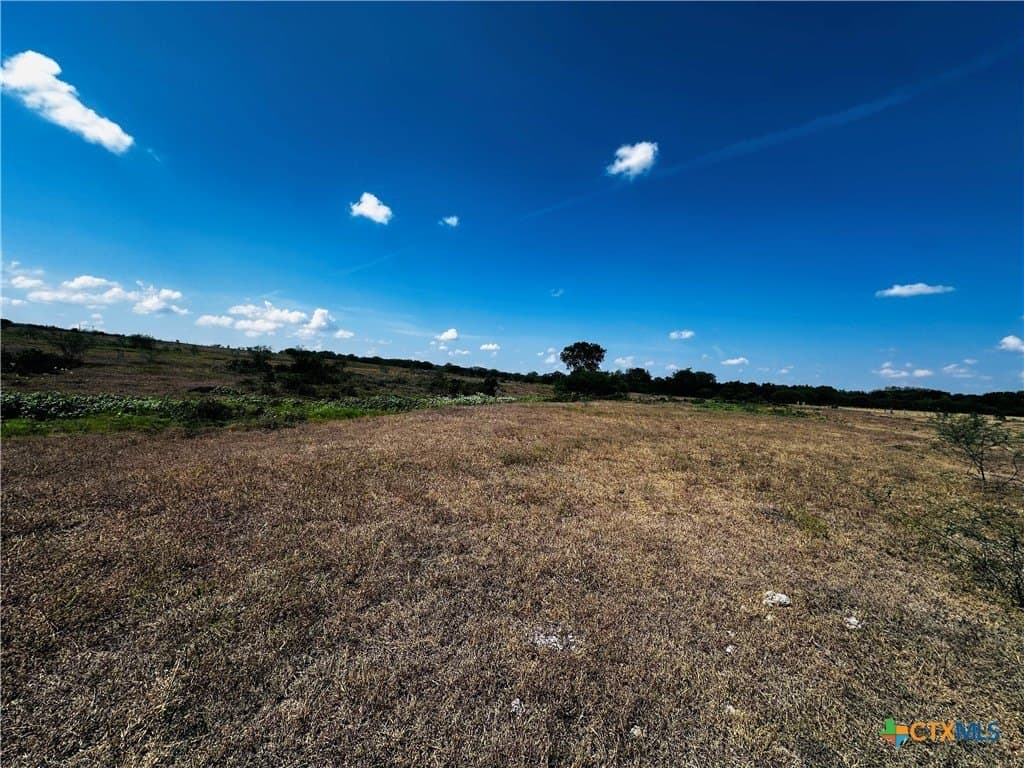 14 acres in DeWitt County - photo 7
