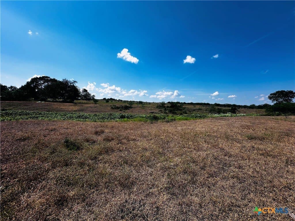 14 acres in DeWitt County - photo 6