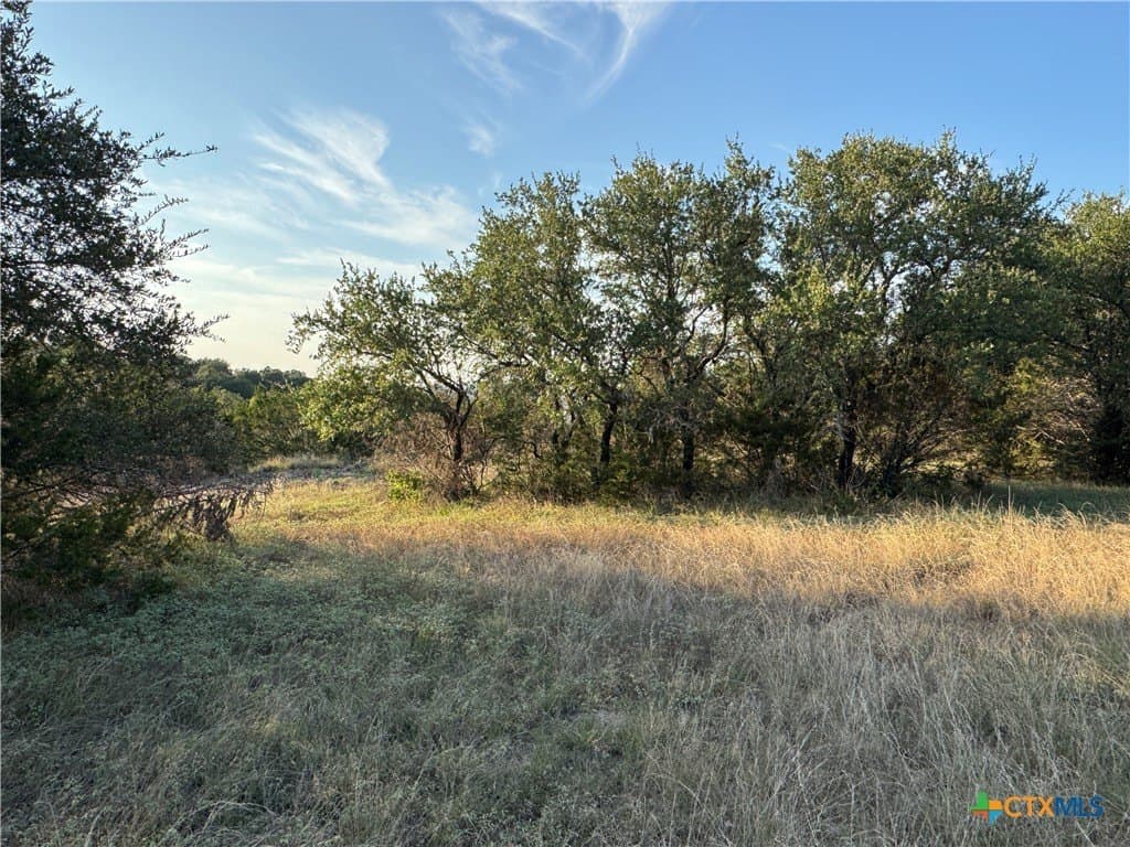 0.71 acres in Comal County - photo 14