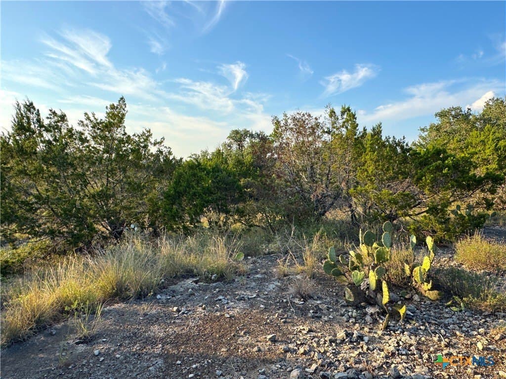 0.71 acres in Comal County - photo 4