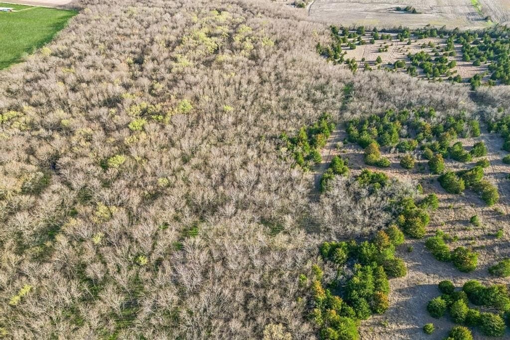 12.1 acres in Hunt County - photo 8