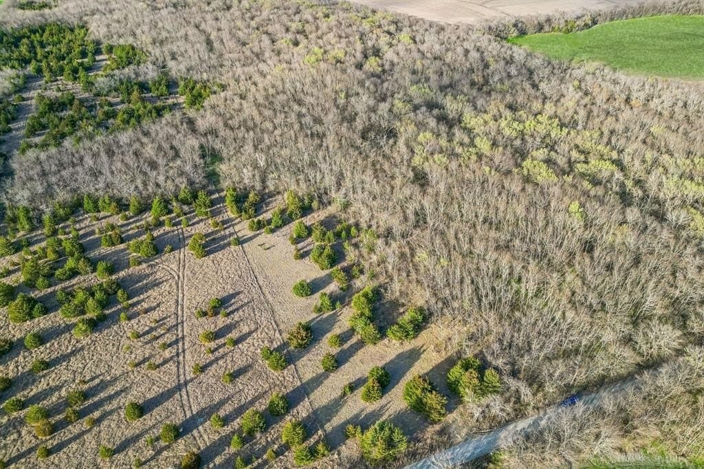 12.1 acres in Hunt County - photo 7