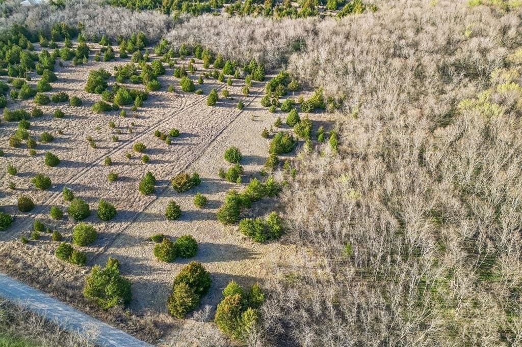 12.1 acres in Hunt County - photo 6