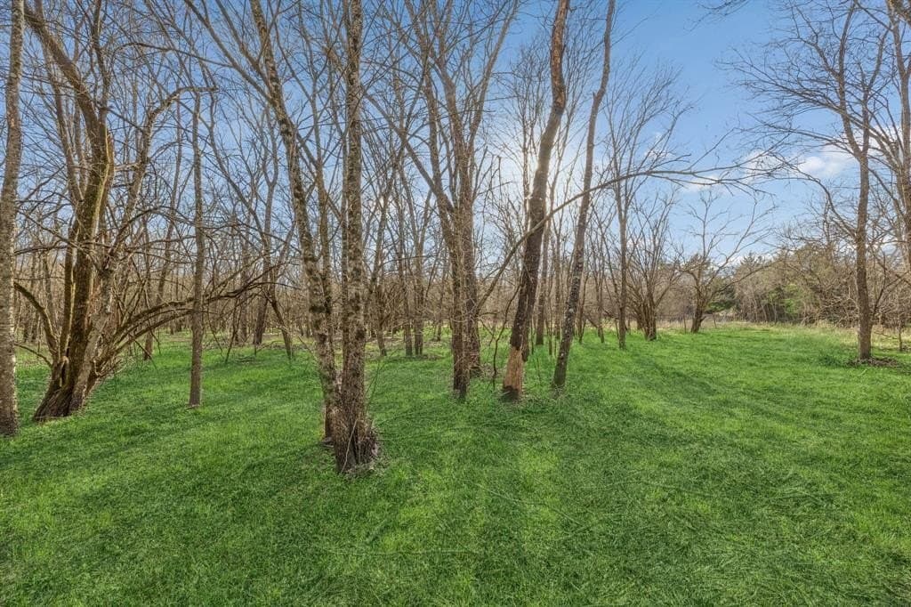12.1 acres in Hunt County - photo 4