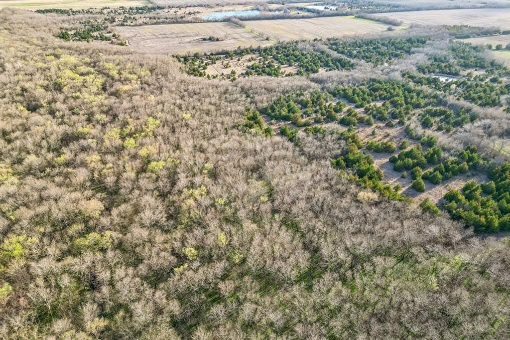 12.1 acres in Hunt County - photo 9