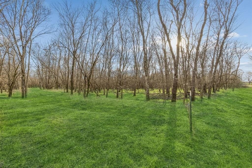 12.1 acres in Hunt County - photo 5