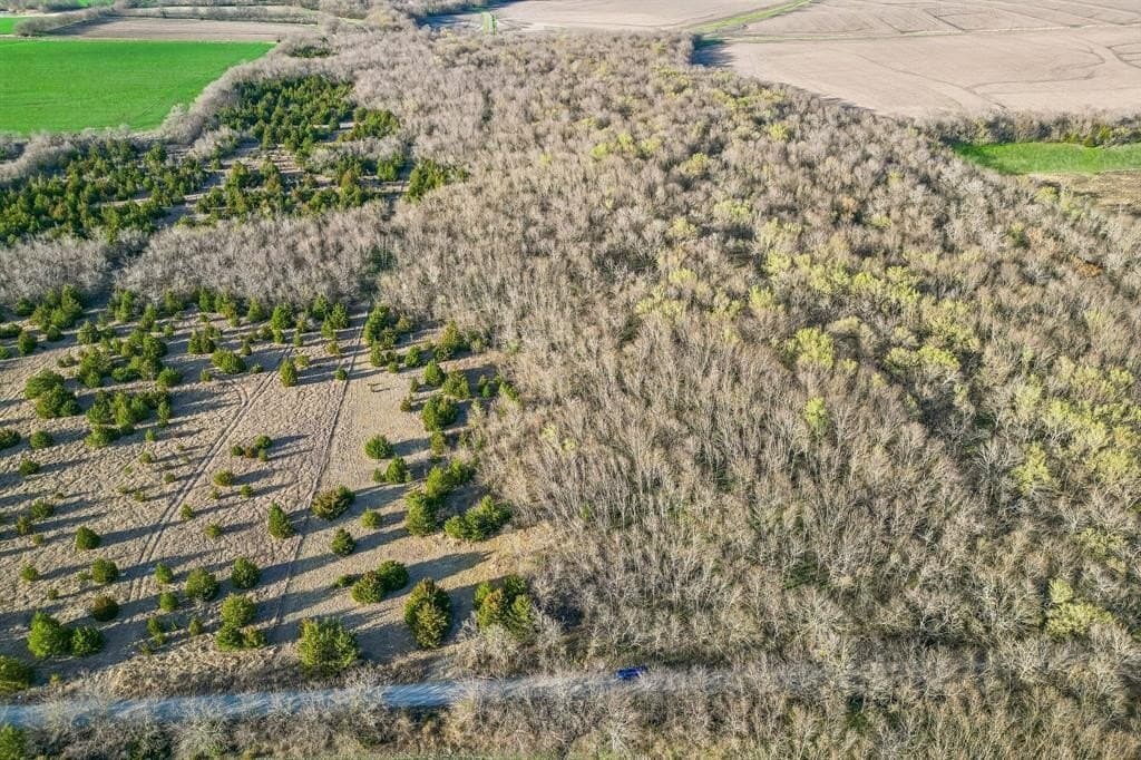 12.1 acres in Hunt County - photo 10