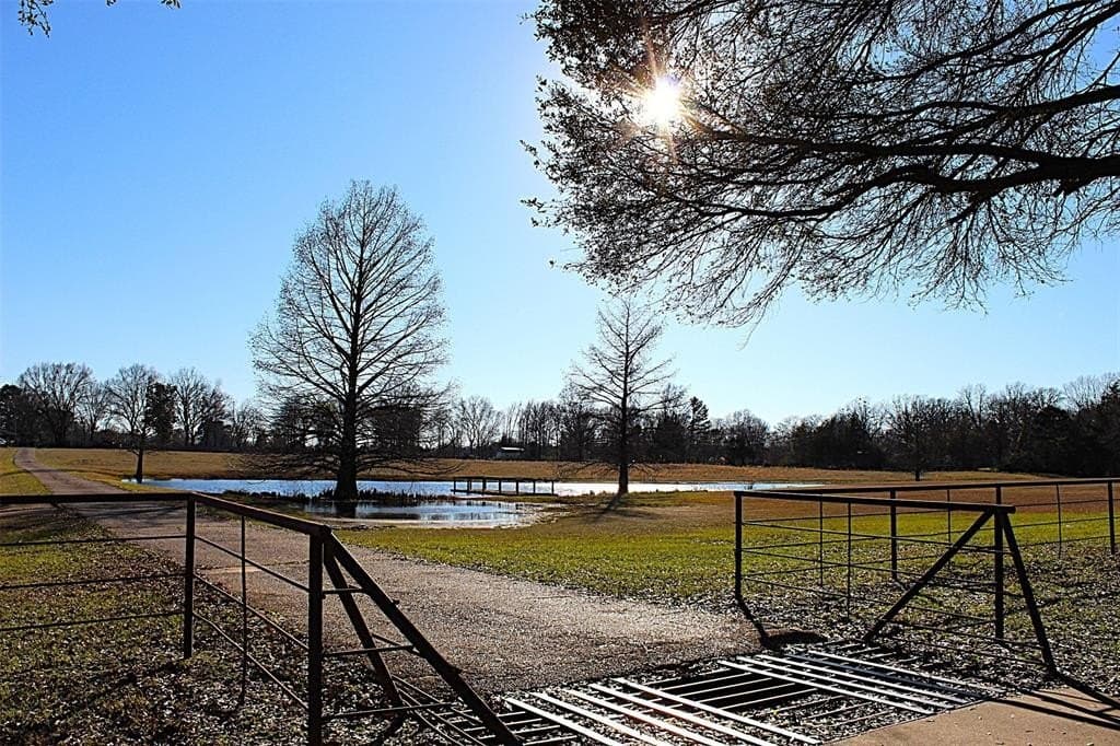24.43 acres in Bowie County - photo 36