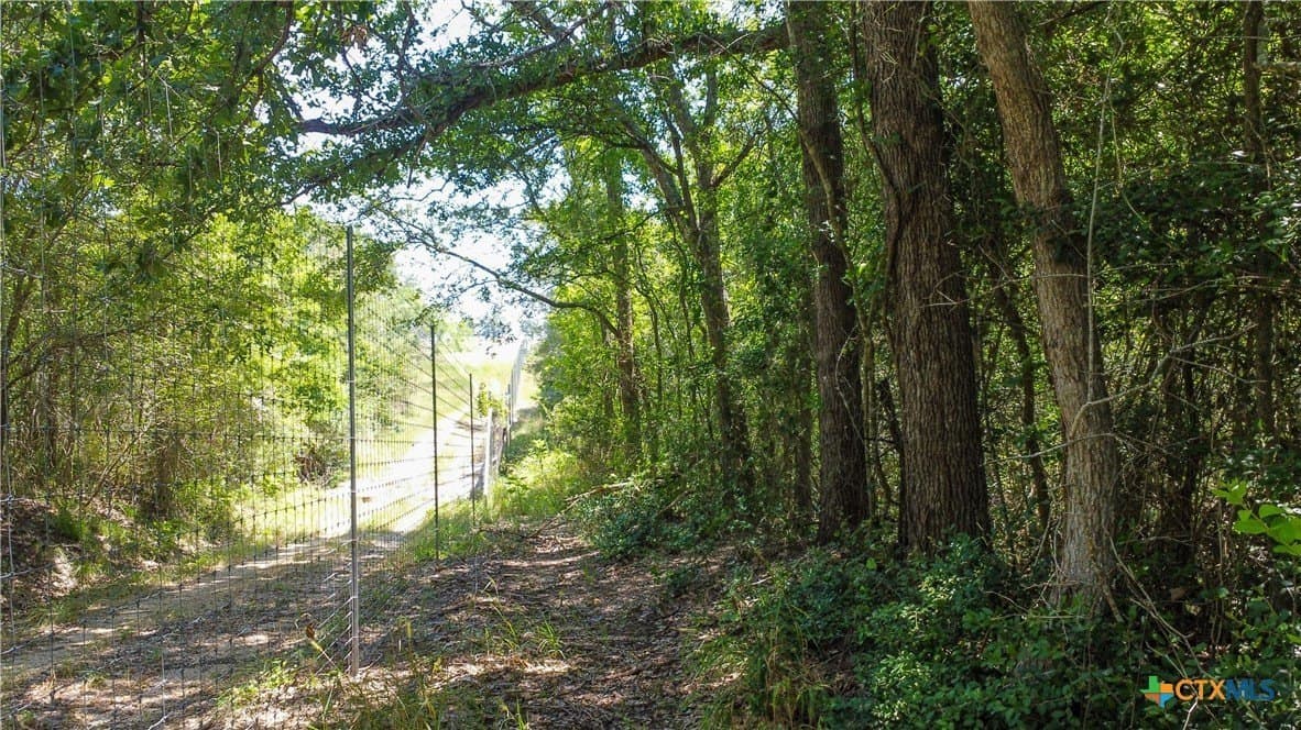 22.31 acres in Caldwell County - photo 23